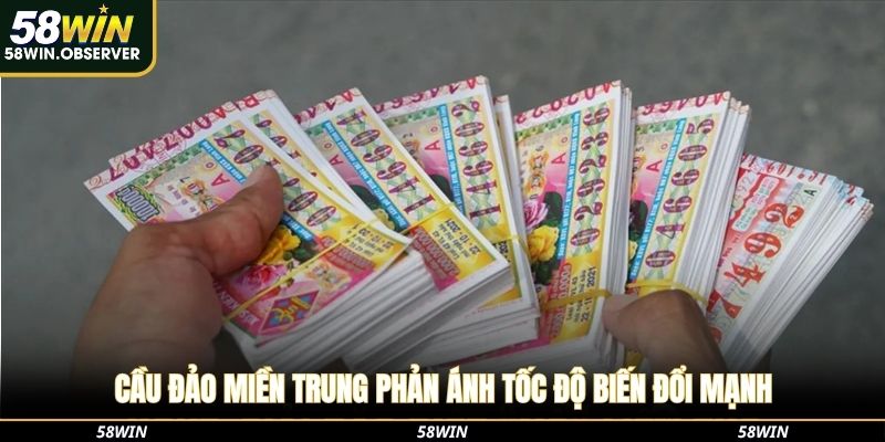 Cầu đảo miền Trung phản ánh tốc độ biến đổi mạnh